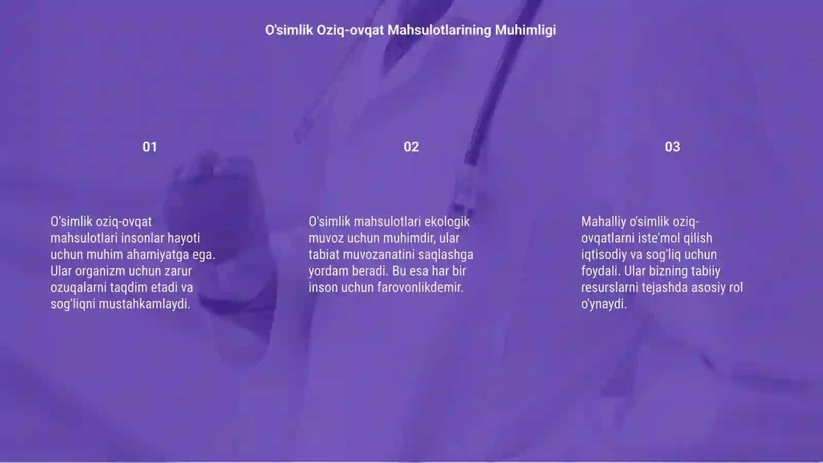 O'simlik Oziq-ovqat Mahsulotlari 3