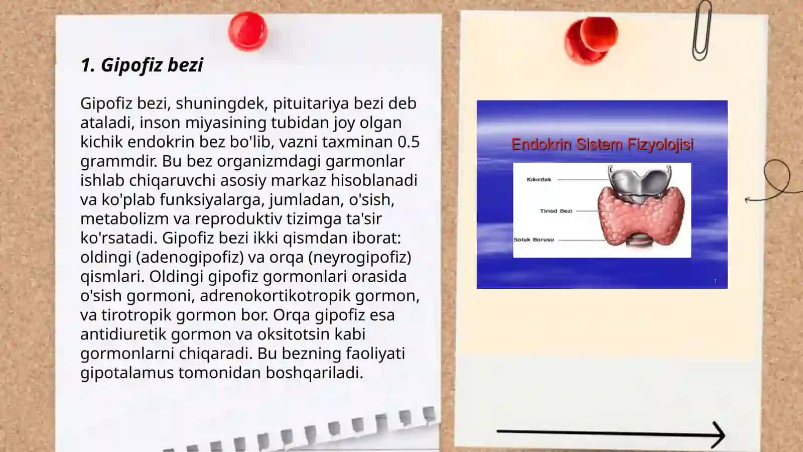 Gipofiz bezi 3
