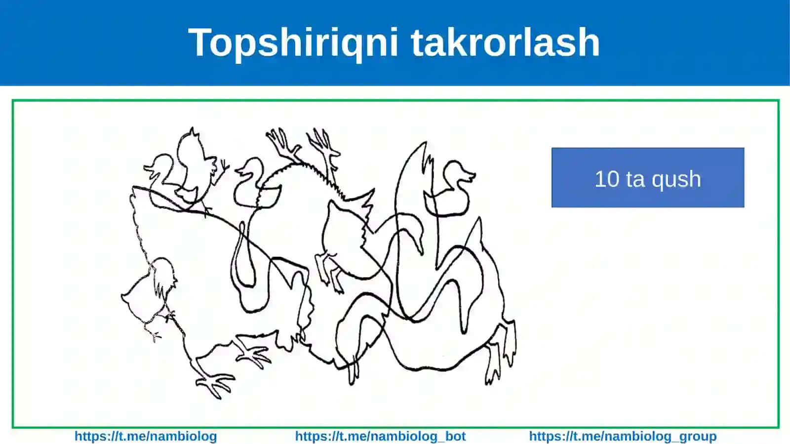 Itning tashqi tuzilishi, skeleti va muskullari 3