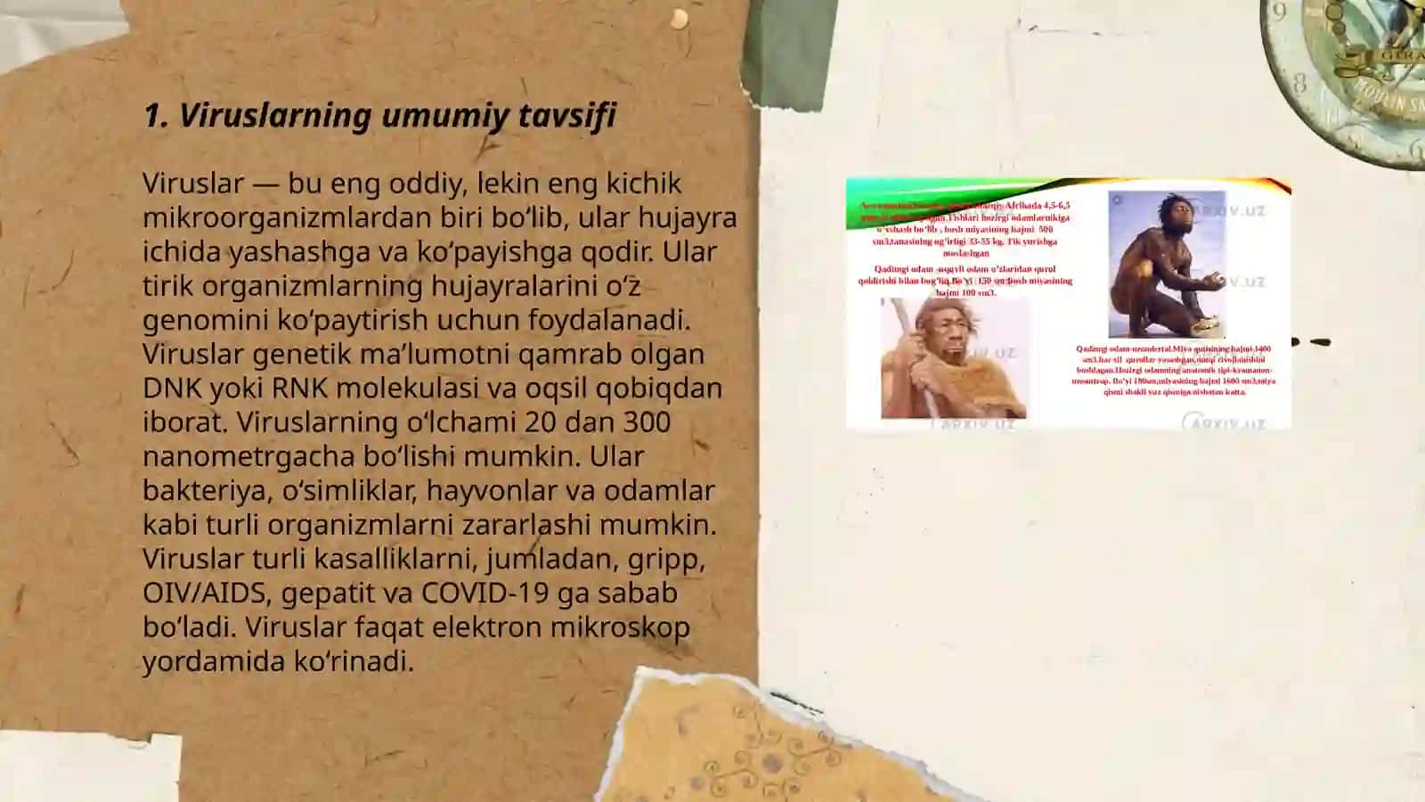 Umumiy virusologiya va bakteriofaklar 3