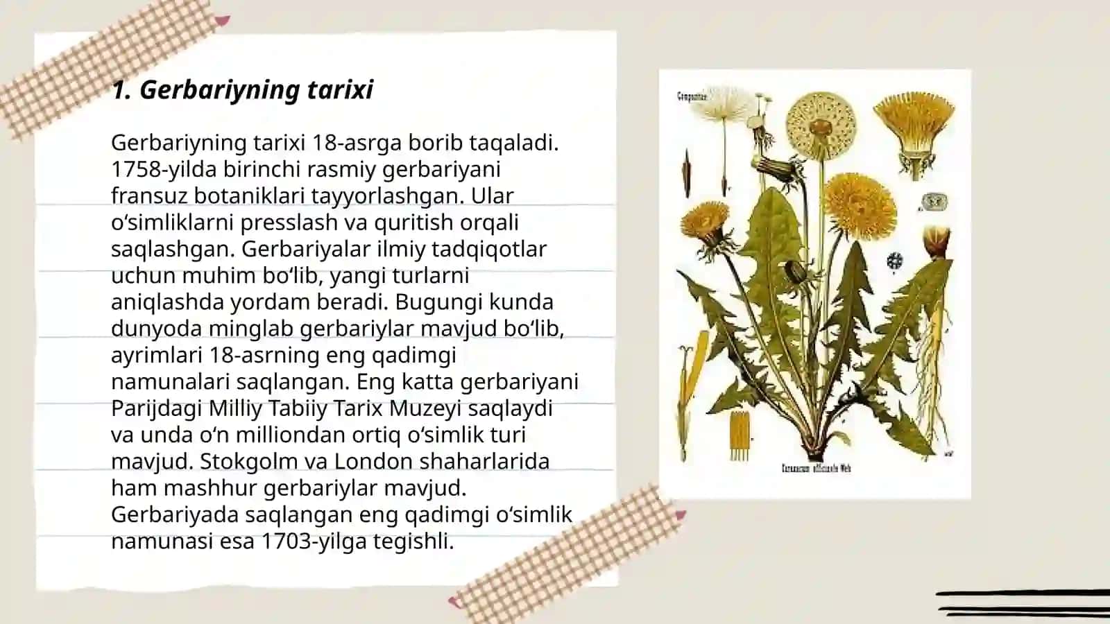 Gerbariy tayyorlash va tayyorlash usullari haqida ma'lumot o'rganish yerbar 3