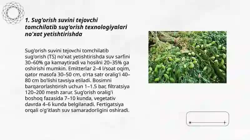 No'xat yetishtirishda resurs tejamkor texnologiyalari 3