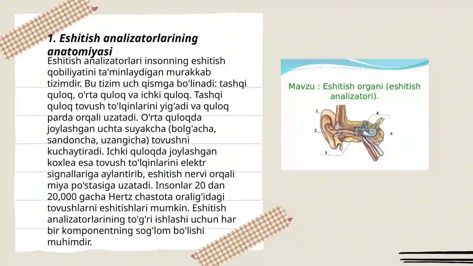 Eshitish analizatorlari 3