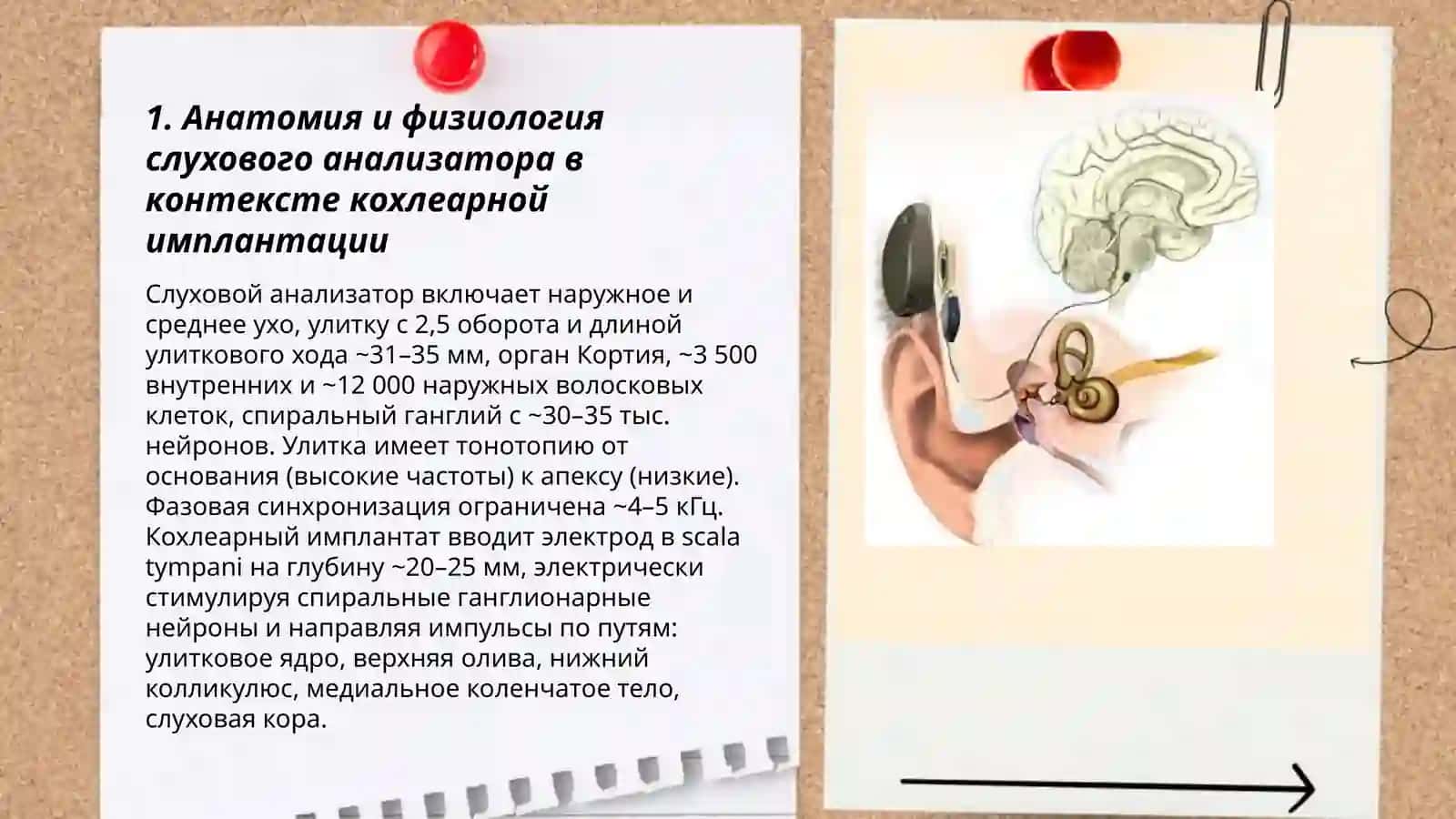 Теоретические основы кохлеарной имплантации и реабилитации 3