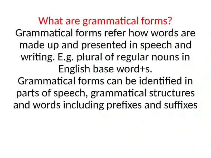 Grammar in Language 3
