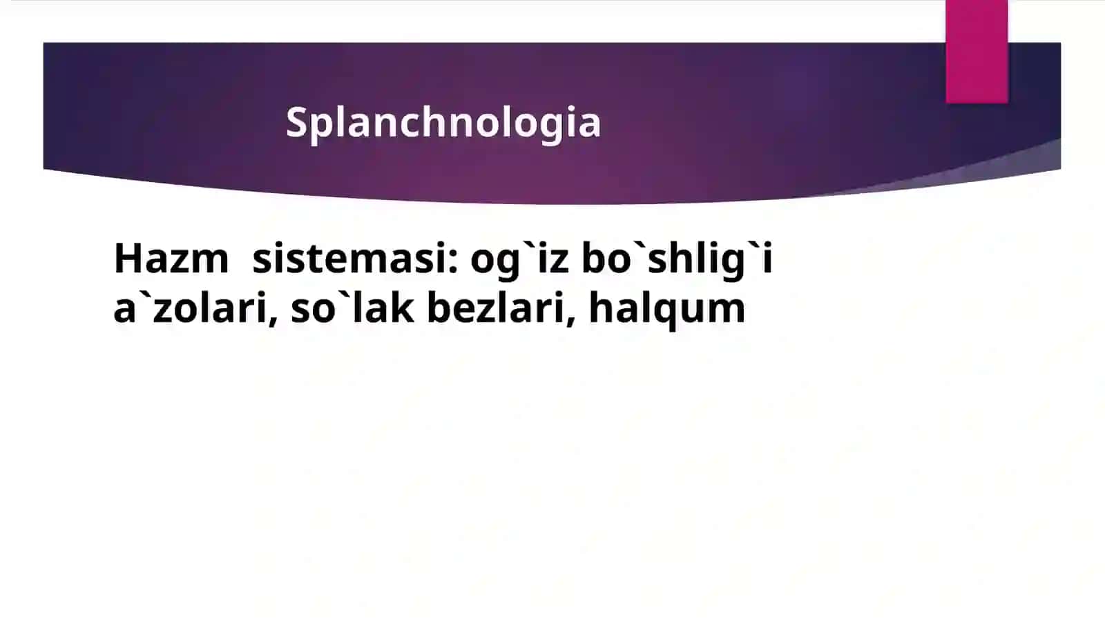 Hazm a’zolarining rengenanatomiyasi va rivojlanish nuqsonlari 3