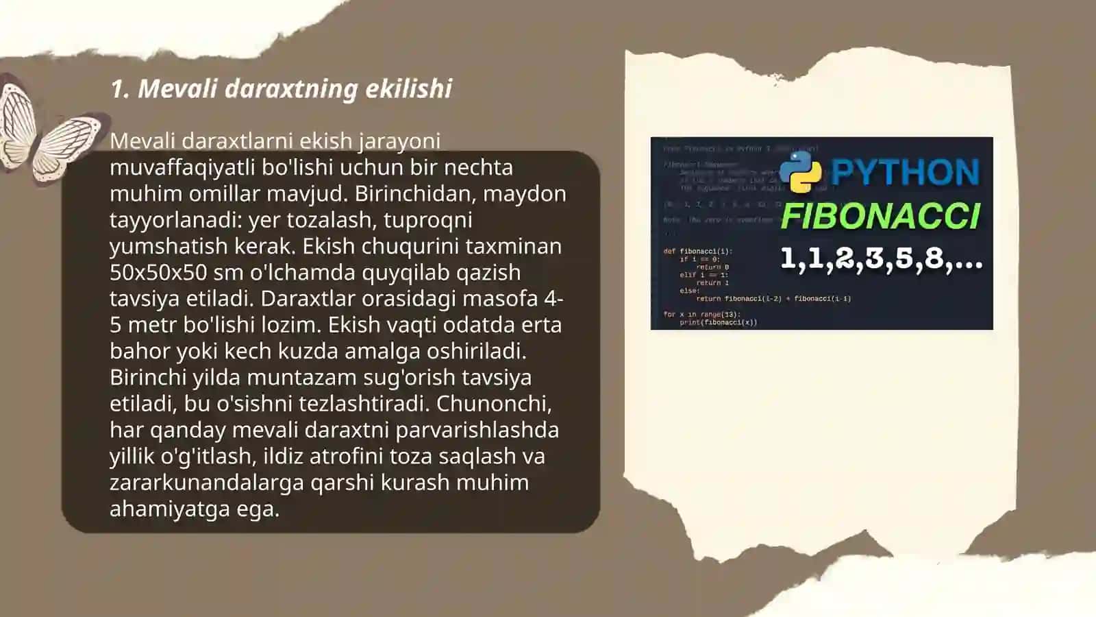 Mevali daraxtning oʻsishi va rivojlanishi 3