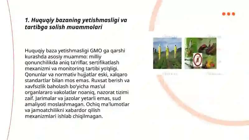 Huquqiy bazaning yetishmasligi va tartibga solish muammolari 3