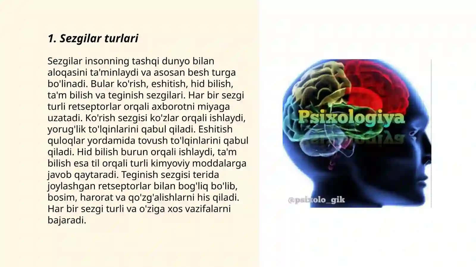 Psixik jarayonlar ( sezgilar, idrok, xotira, xayol, diqqat, nutq, tafakkur) 3