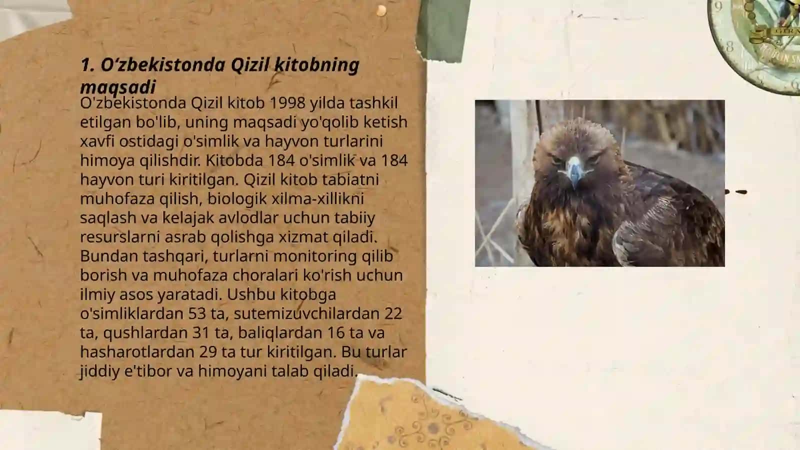 Õzbekistondagi qizil kitobga kiritilgan hayvonlar va õsimliklar 3