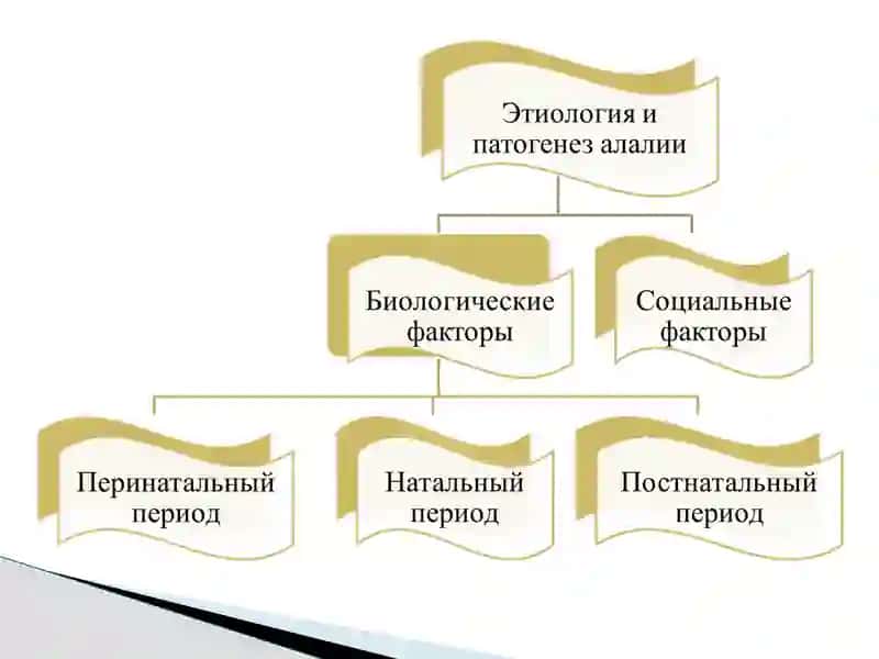 Дефект структуры моторной алалии 3