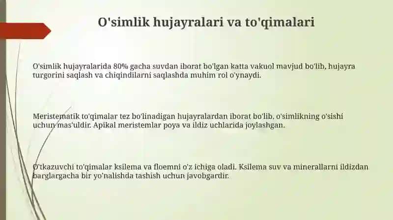 Oʻsimliklar anatomiyasi va fiziologiyasi 3