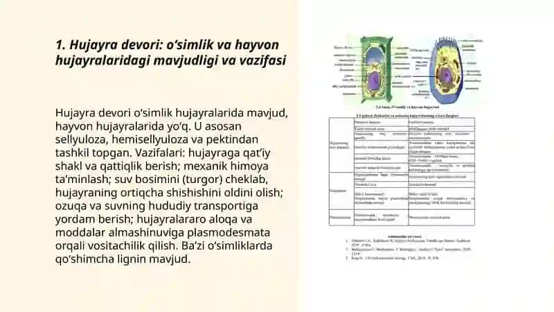 Oʻsimlik va hayvon hujayralarining oʻxshashlik va farqli belgilari 3