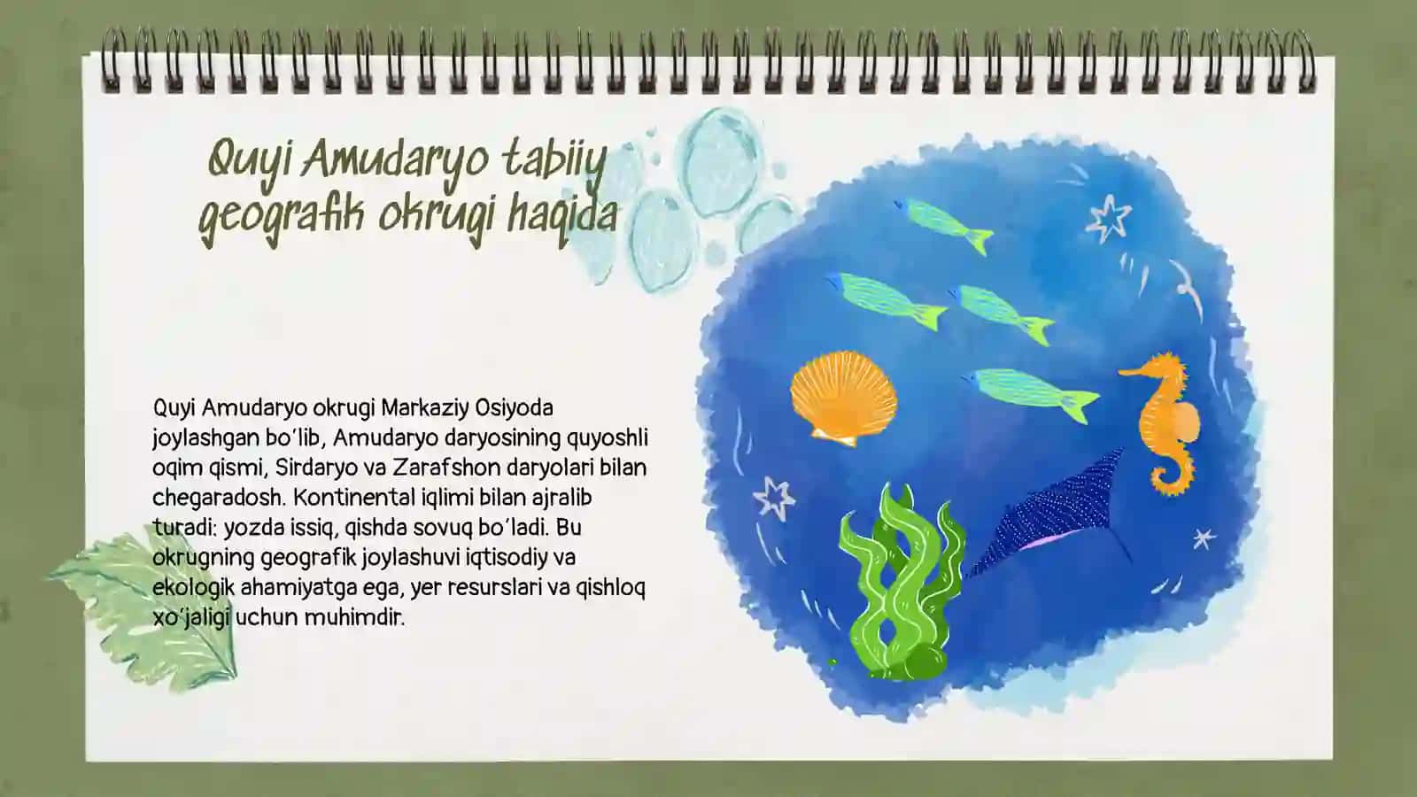 Quyi Amudaryo tabiiy geografik okrugi 3