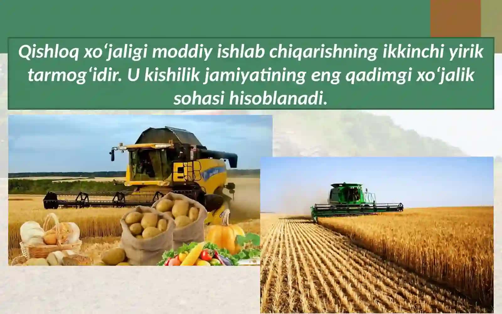 QISHLOQ XO‘JALIGI TARMOQLARINING JOYLANISHI 3