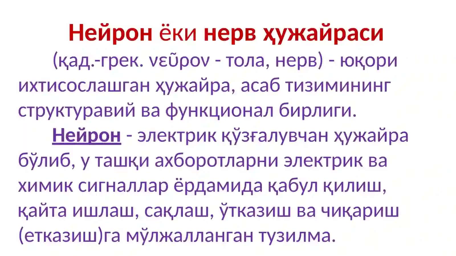 Нерв толалари ва мушаклар физиологияси 3