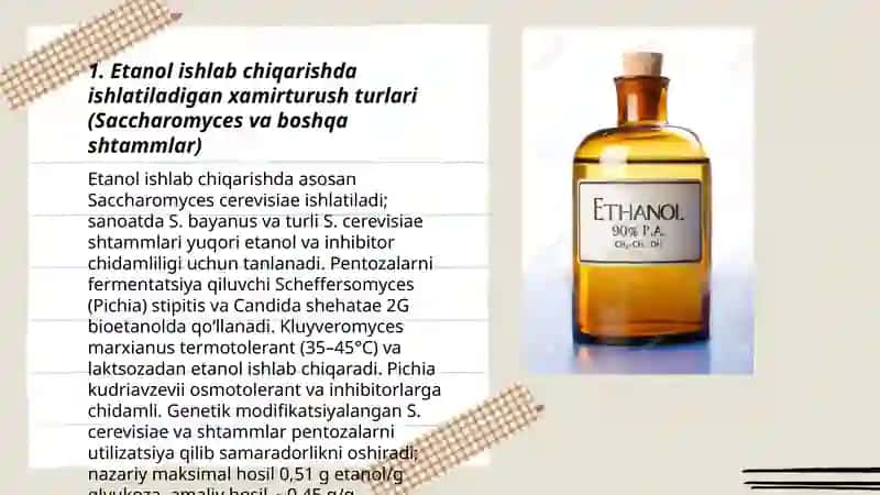 Etanol ishlab chiqarish uchun xamirturush biotexnologiyasi 3