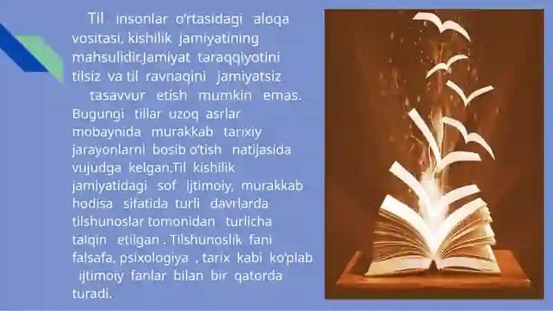 Til sathlari va sathlarga ajratish tamoyillari 3