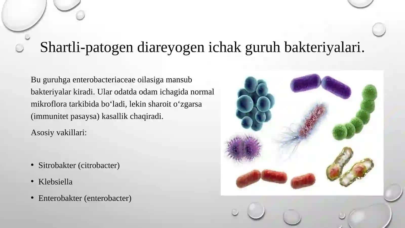 Shartli patogen dioriyaogen ichak gruppa bakteriyalari: Sitrobakter, Klebsiella, Enterobakter va ularning amaliyotdagi ahamiyati; Virusli diareyalar (rotoviruslar va adenoviruslar). Ular keltirib chiqargan kasalliklar, laborator tashhisi. 3