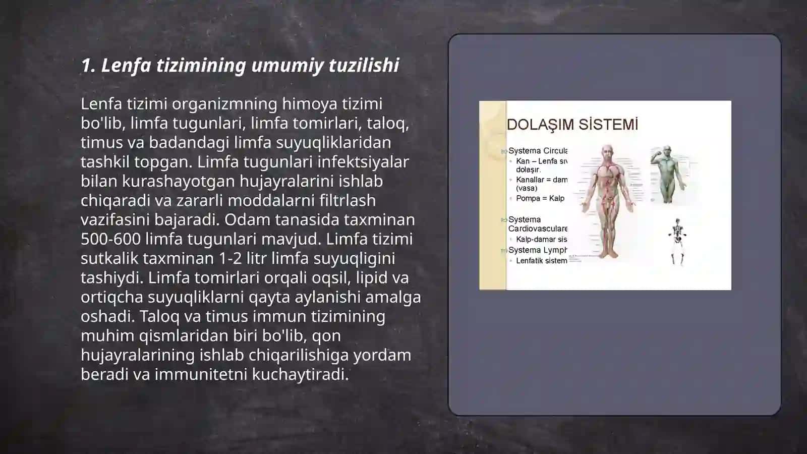 Lenfa tizimining umumiy tuzilishi 3