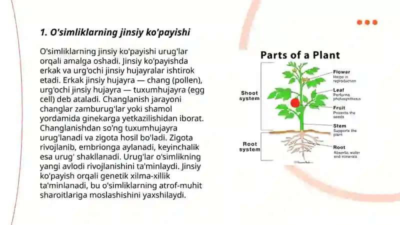 O'simliklar va hayvonlar ning ko'payishi va rivojlanishi 3