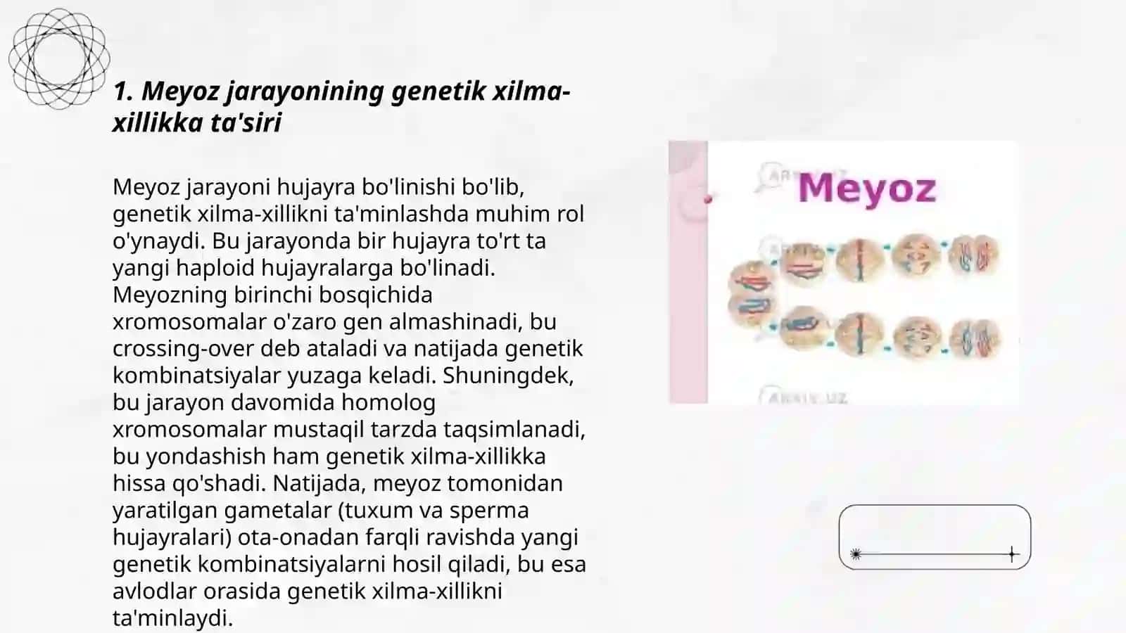 Meyozning biologik ahamiyati 3