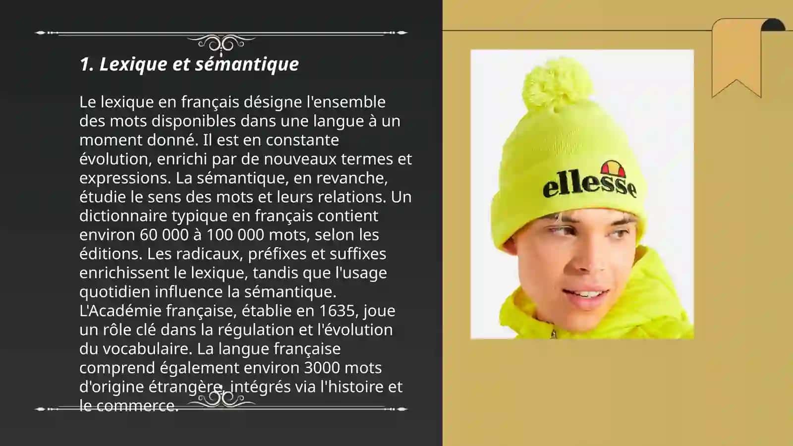 Travailler avec les lexiques 3