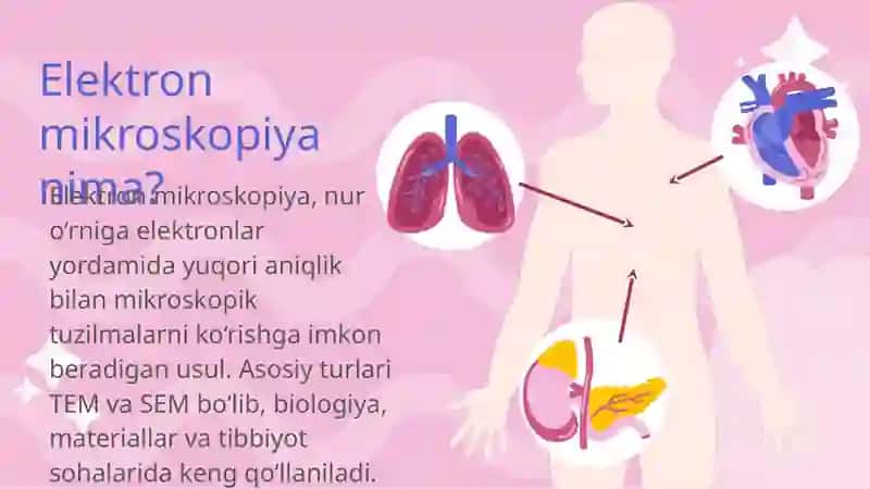 Elektron mikroskopiya usullarini tibbiyotda ahamiyati 3