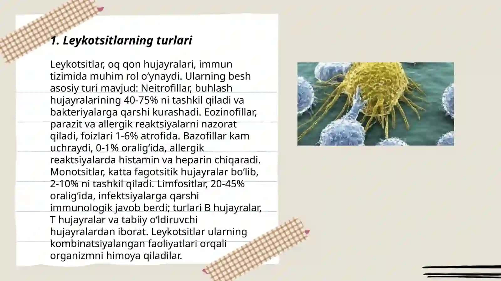 Leykotsitlar.Tibbiyotdagi ahamiyati 3