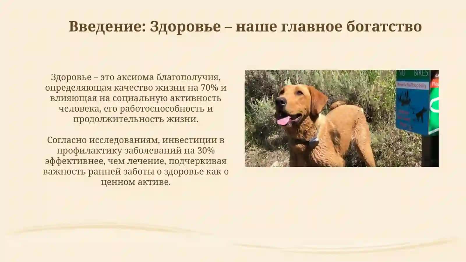 Правила этикета Кодекс морали ва Чистота залог здоровья. Здоровьс дороже денет 3
