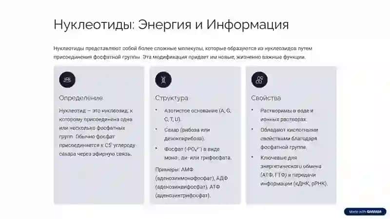 Нуклеозиды и Нуклеотиды: Основы Жизни 3