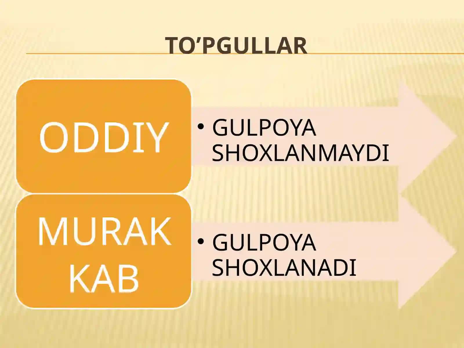 TO’PGULLAR 3