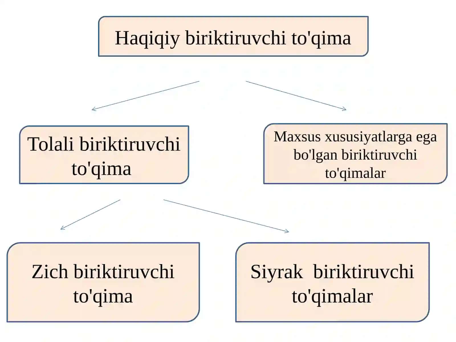 Biriktiruvchito'qimalar 3