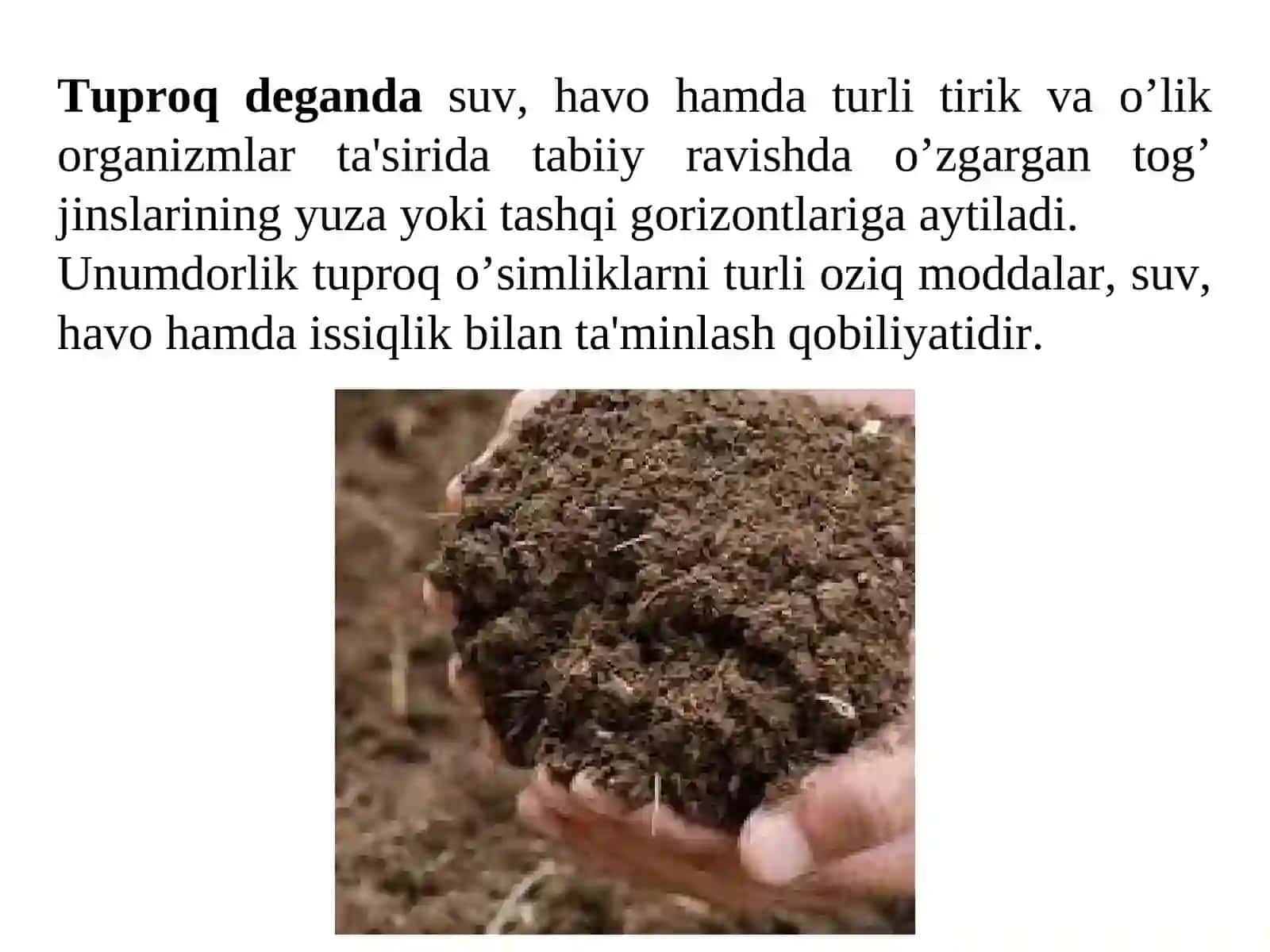 Tuproqlar geografiyasi. O‘zbekiston tuproqlari 3