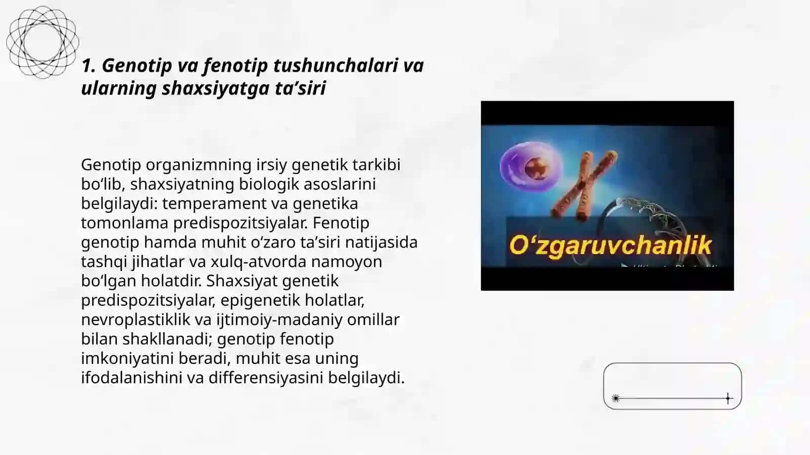 Genotipik va Fenotipik Faktorlar 3