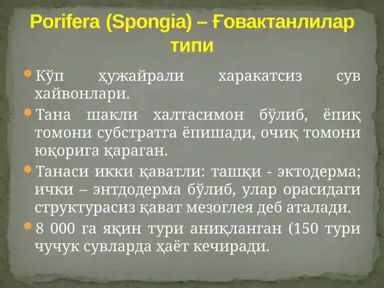 Porifera(Spongia) –Ғовактанлилар типи 3