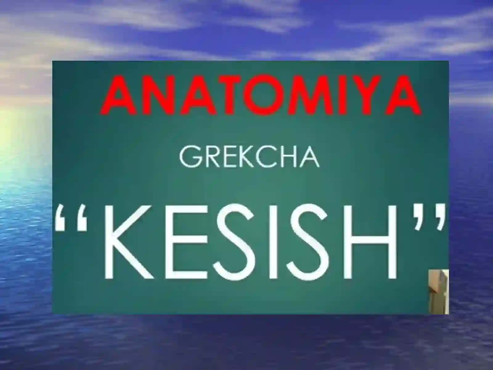 Umumiy osteologiya 3