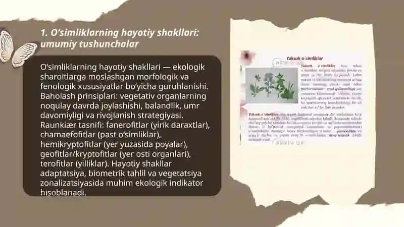 Oʻsimliklarning hayotiy shakllari 3