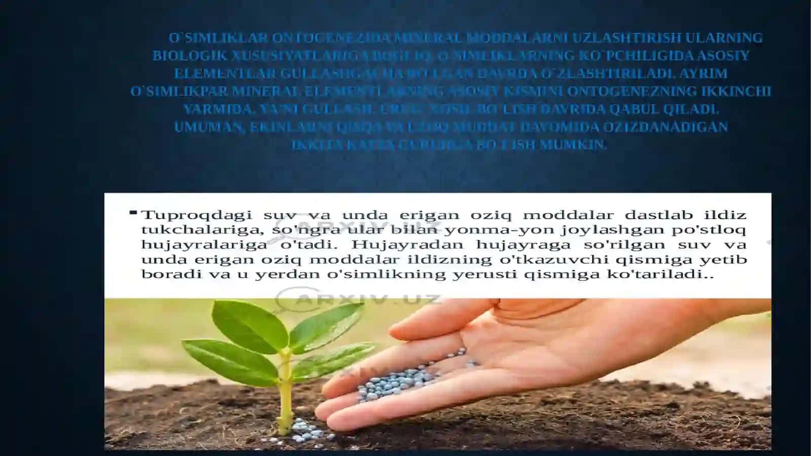 O`SIMLIKLAR MINЕRAL OZIQLANISH FIZIOLOGIYASI 3