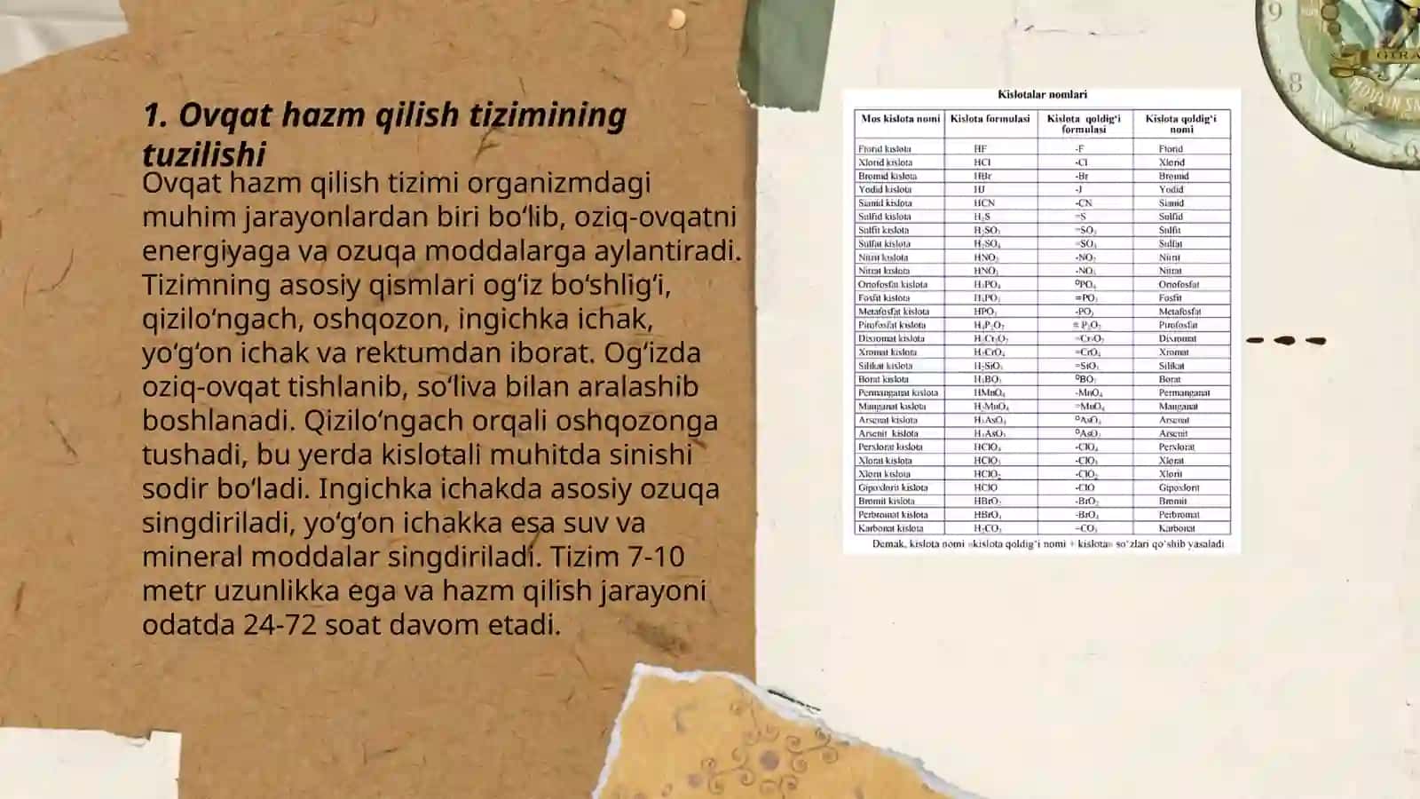 Oqsillarning hazmlanishi va so’rilishi. Aminokislotalar almashinuvi va uning umumiy yo’llari 3