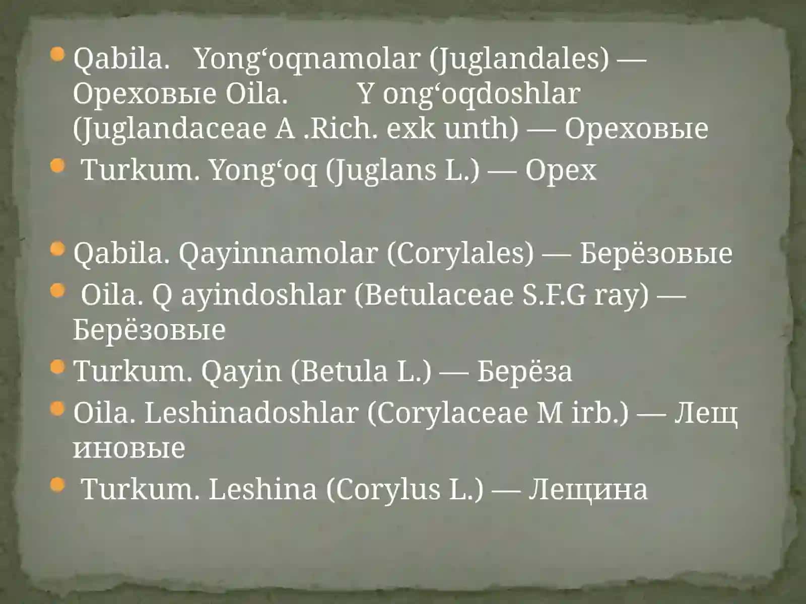 Emandoshlar (Fagaceae), Yong‘oqdoshlar (Juglandaceae) va Qayindoshlar (Betulaceae) oilasi 3