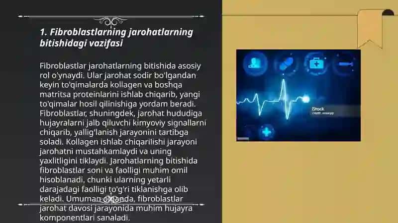 Fibroblastlarning jarohatning bitishi va chandiq xosil bo’lishidagi roli 3