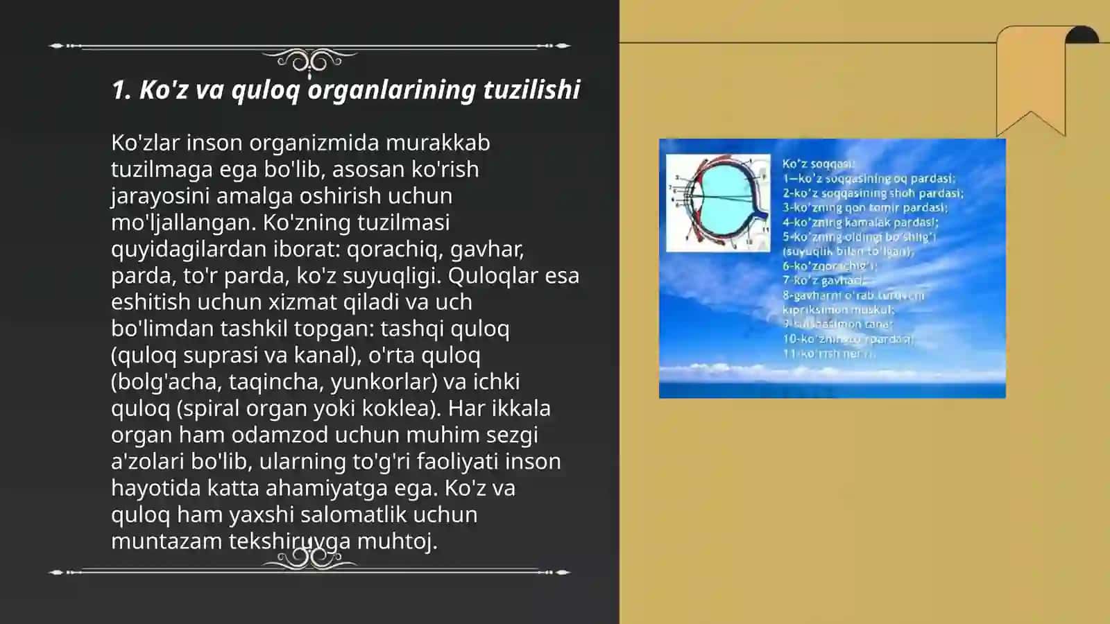 Ko’rish va eshitish organlarining hususiyati hamda gigiyenasi 3