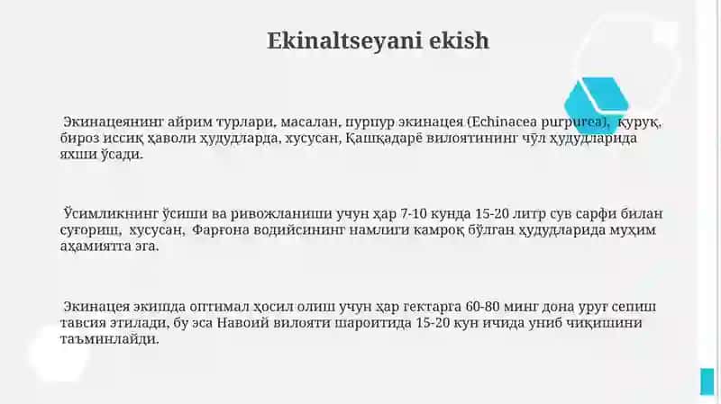 Exinatseya oʻsimligini yetishtirish texnologiyasi 3