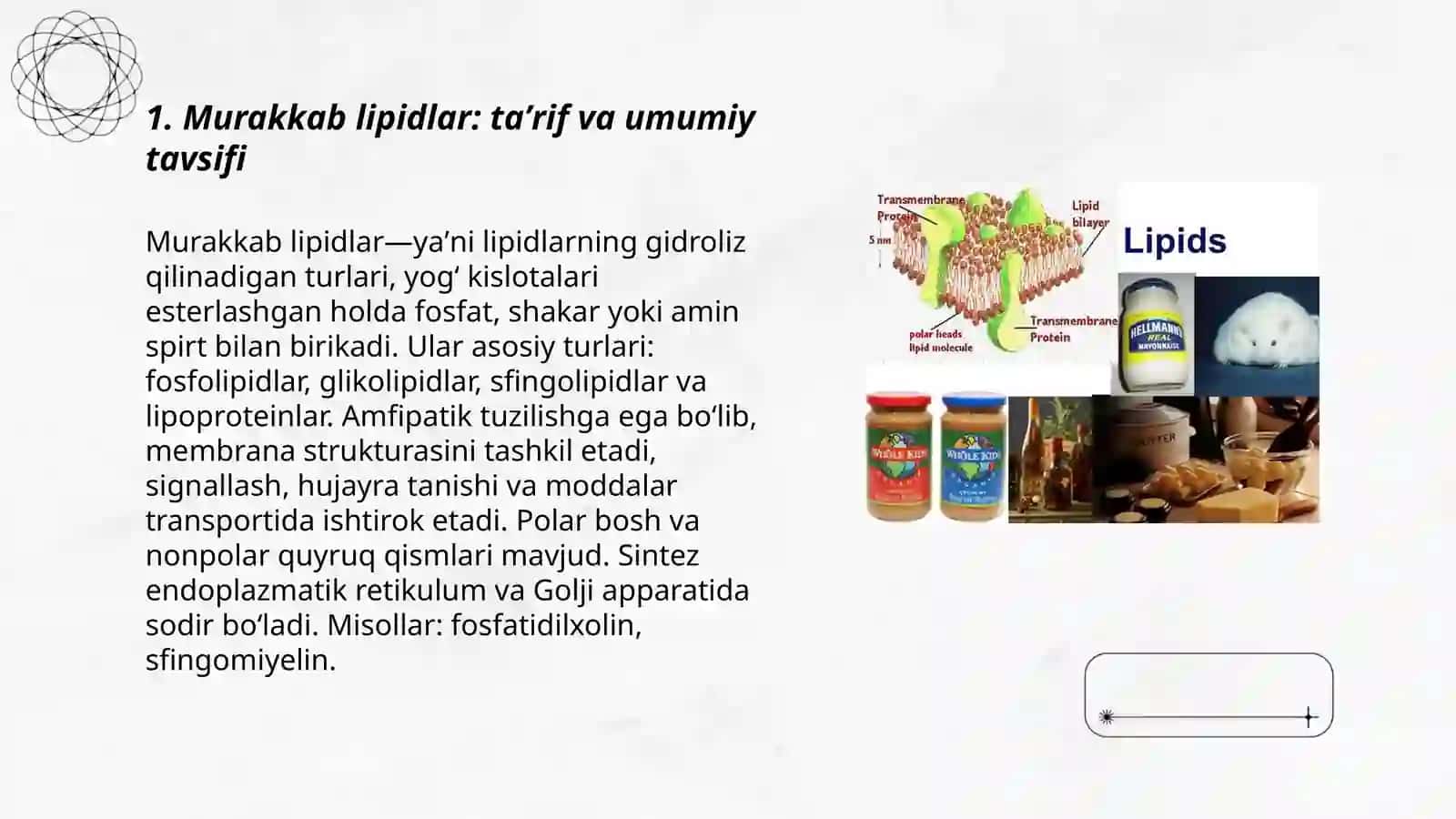 Murakkab lipidlar 3