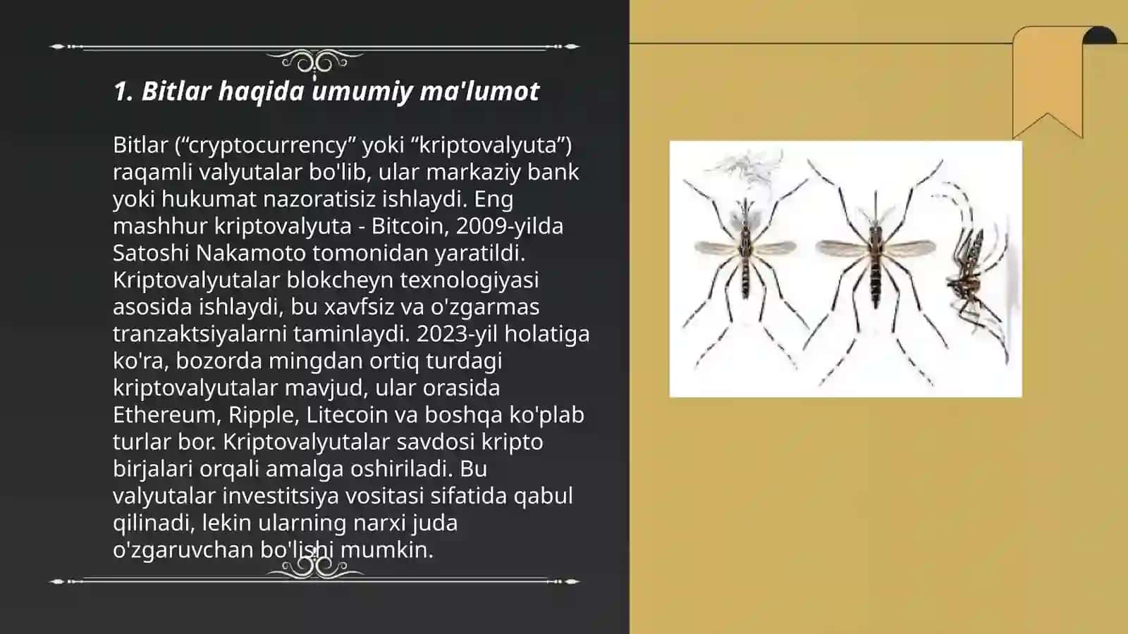 Bitlar haqida umumiy ma'lumot 3