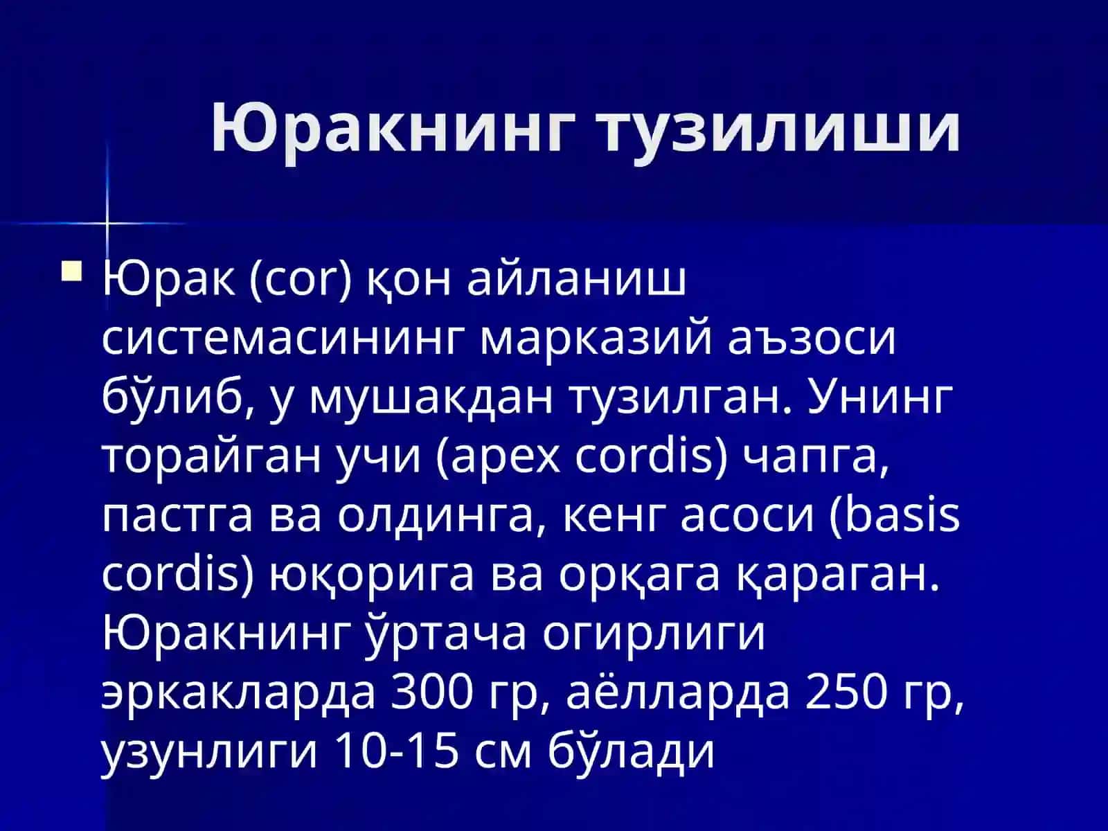 Юрак тузилиши 3