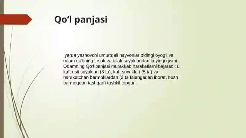 QO’L KAFTI 3