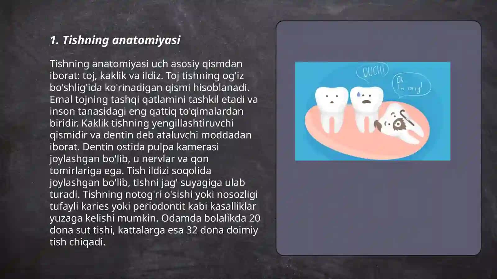 Tishning anatomiyasi 3