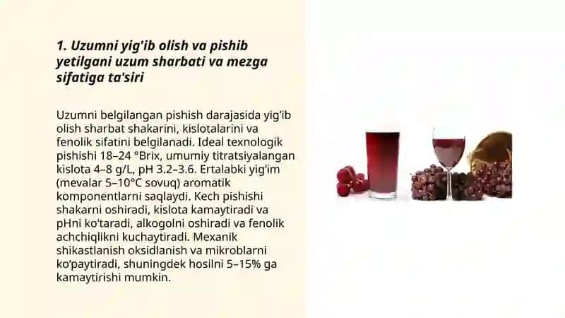 Uzum sharbatini va mezgasini bijĝitish va vino materialni shakllantirish 3